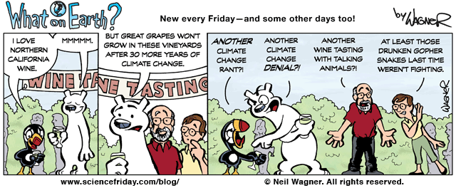 WOE11_034CaliforniaGrapes